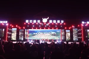 遇见临沧 如回故乡｜沧源：夜色燃动 司岗里摸你黑音乐狂欢之夜尽情嗨唱